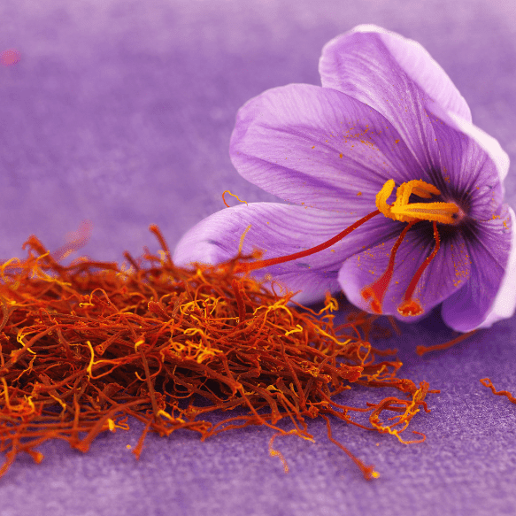 Photo of Saffron Flower